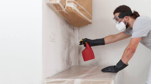 Professional Mold Remediation technician working in Mebane, NC