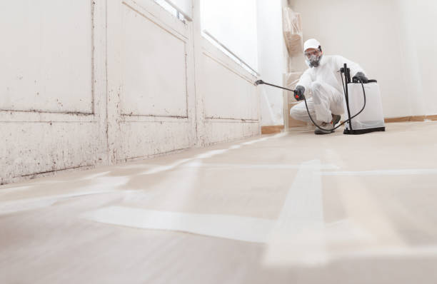 24/7 Emergency Mold Remediation experts in Mebane, NC