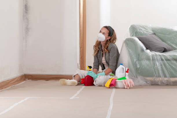 Reliable Mold Remediation contractor in Mebane, NC by WQB Mold Removal